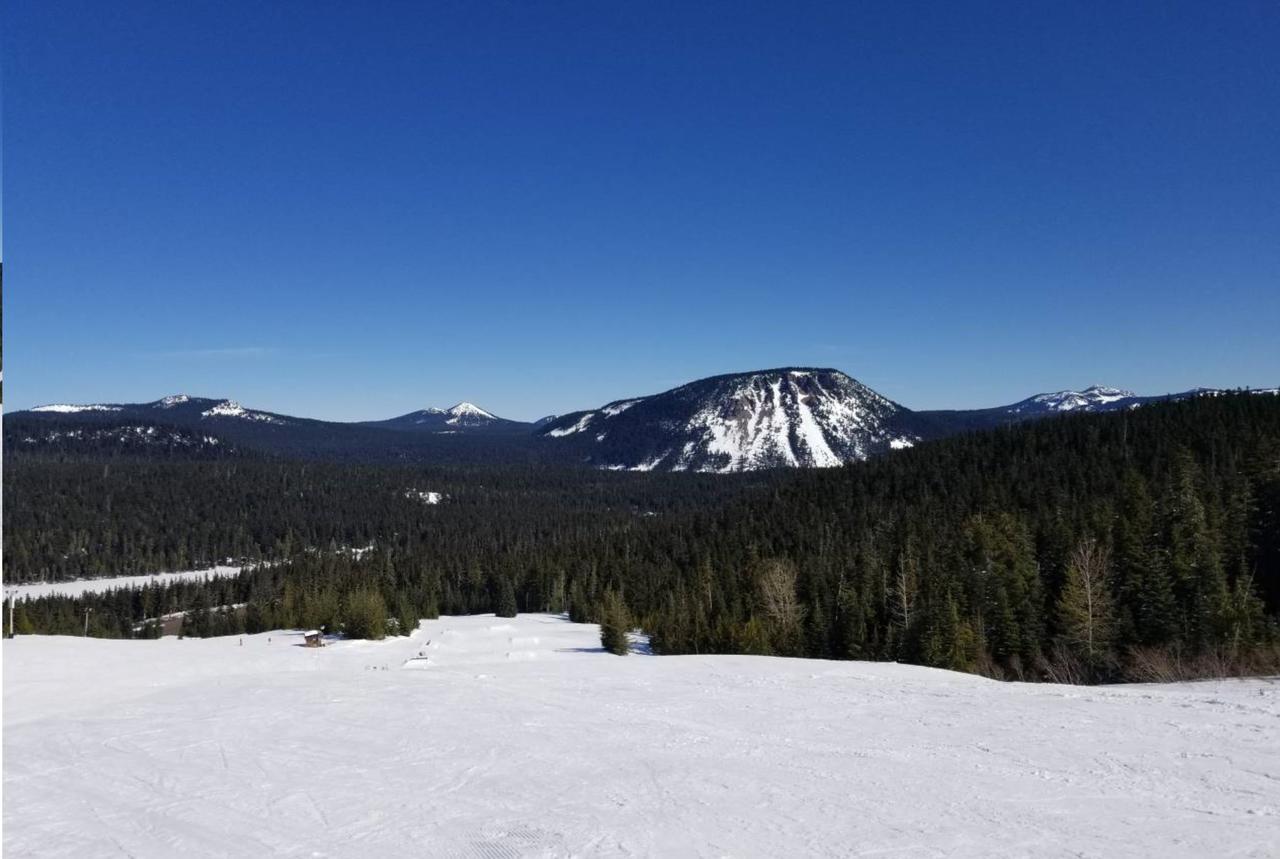 Packwood Ski & Vacation Getaway Buitenkant foto