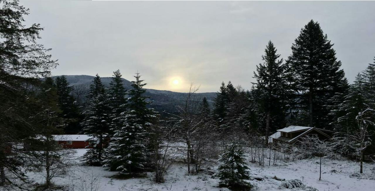 Packwood Ski & Vacation Getaway Buitenkant foto