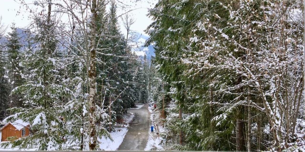 Packwood Ski & Vacation Getaway Buitenkant foto